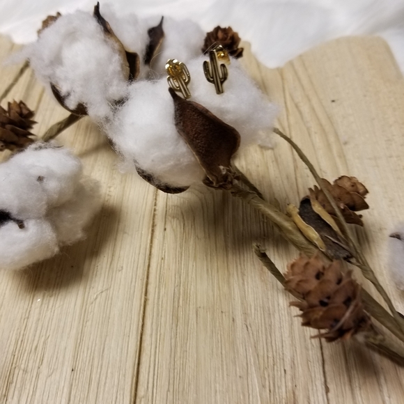 🌵🌵So Cute Stainless Steel Cactus earrings 🌵🌵 - Picture 4 of 8